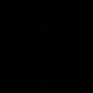 Meet your Posher, Carl